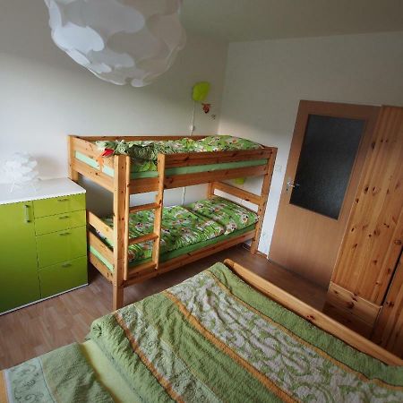 Апартаменти Apartman V Destnem Дештне-в-Орлицьких-Горах Екстер'єр фото