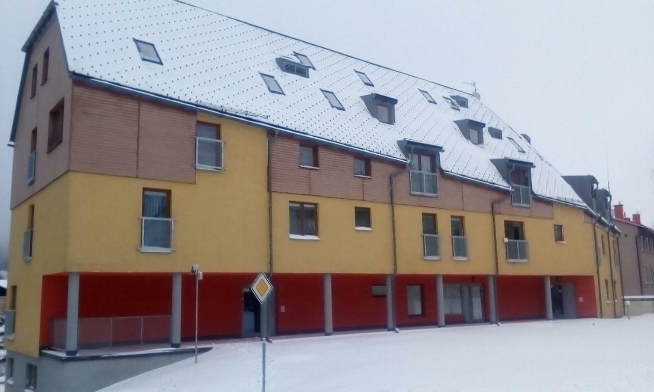 Апартаменти Apartman V Destnem Дештне-в-Орлицьких-Горах Екстер'єр фото