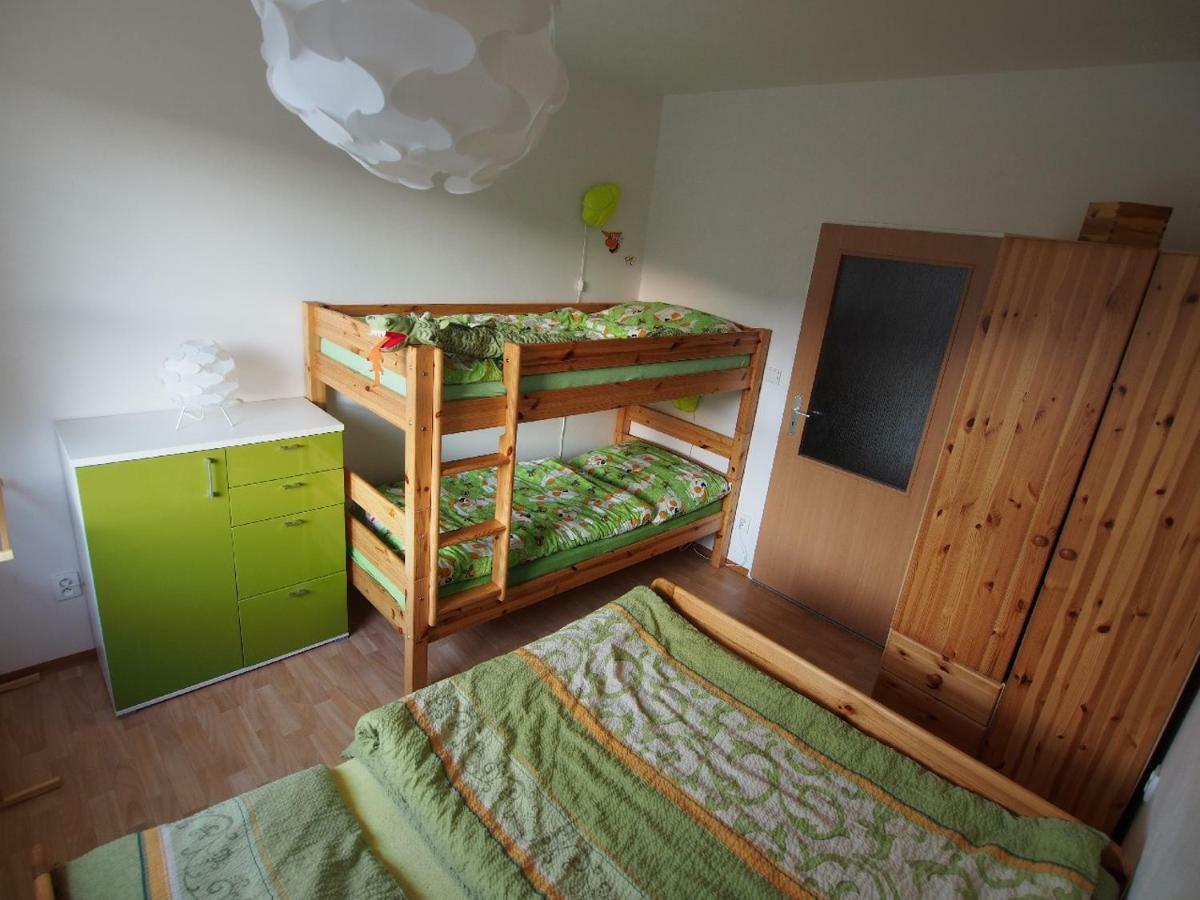Апартаменти Apartman V Destnem Дештне-в-Орлицьких-Горах Екстер'єр фото
