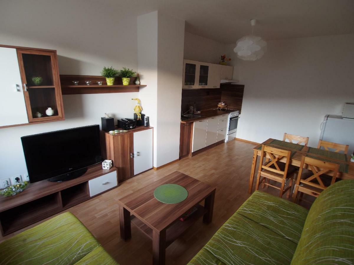 Апартаменти Apartman V Destnem Дештне-в-Орлицьких-Горах Екстер'єр фото