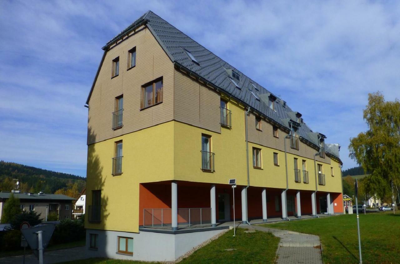 Апартаменти Apartman V Destnem Дештне-в-Орлицьких-Горах Екстер'єр фото