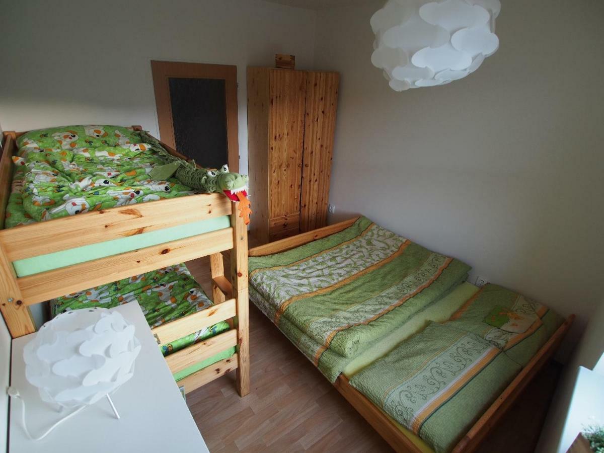 Апартаменти Apartman V Destnem Дештне-в-Орлицьких-Горах Екстер'єр фото