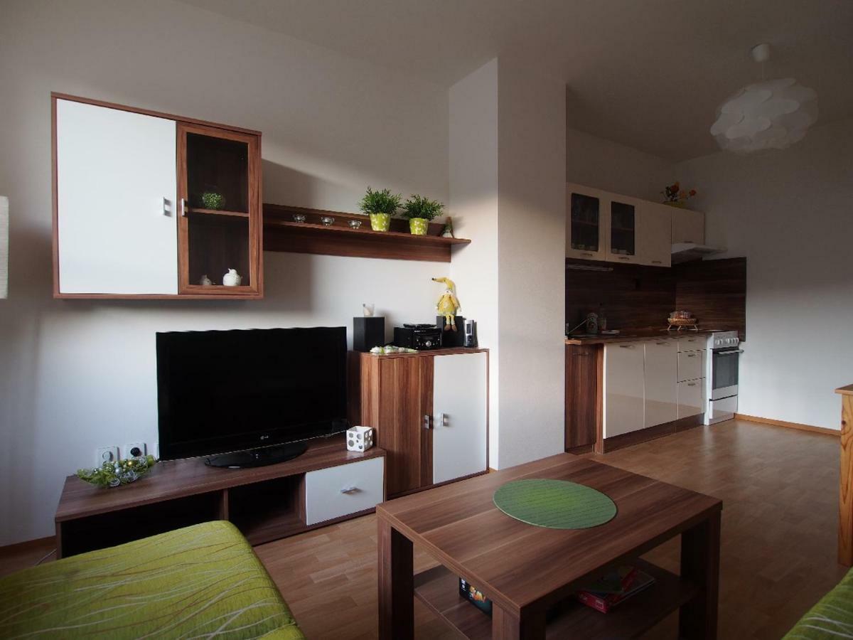 Апартаменти Apartman V Destnem Дештне-в-Орлицьких-Горах Екстер'єр фото