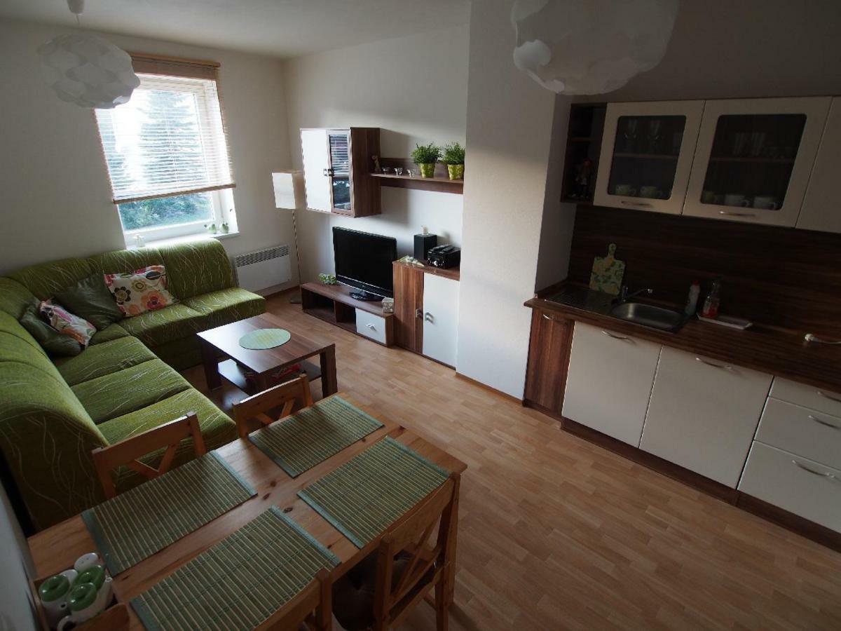 Апартаменти Apartman V Destnem Дештне-в-Орлицьких-Горах Екстер'єр фото